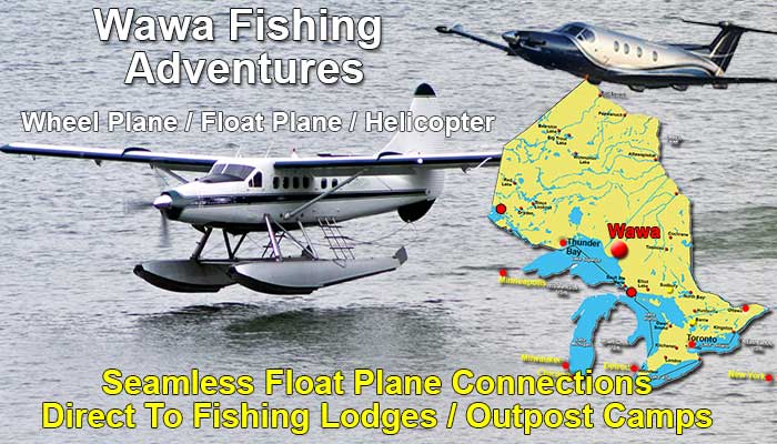 Wawa fishing Trips